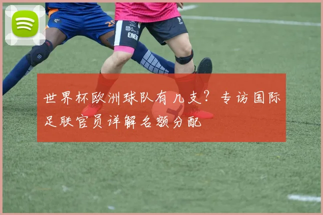 世界杯欧洲球队有几支？专访国际足联官员详解名额分配