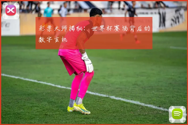 彩票大师揭秘：世界杯赛场背后的数字玄机