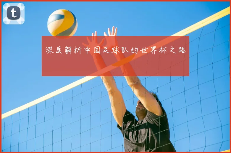 深度解析中国足球队的世界杯之路