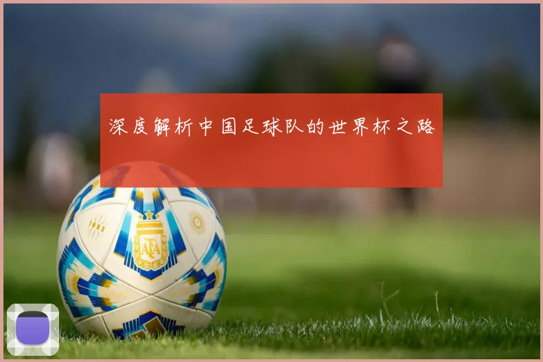 深度解析中国足球队的世界杯之路