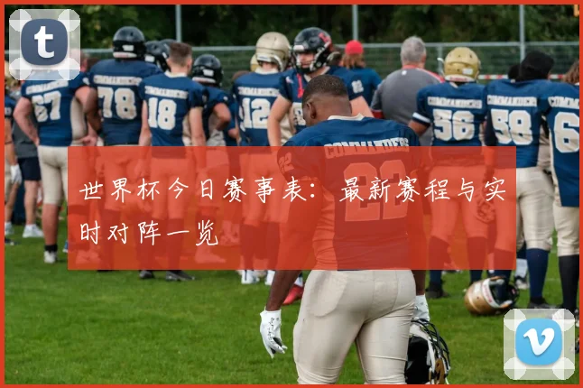 世界杯今日赛事表:最新赛程与实时对阵一览