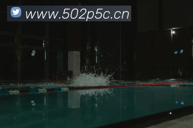 爱游戏ayx官方首页平台生态图