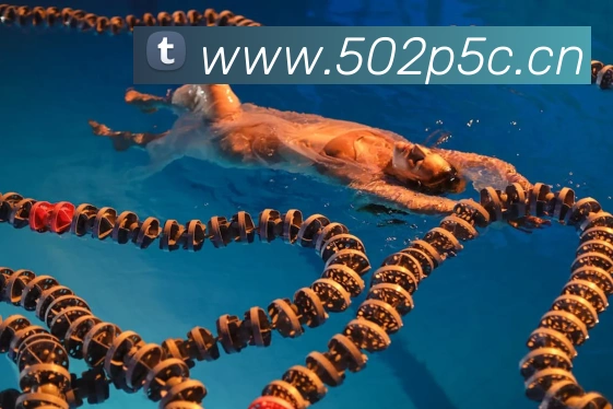 爱游戏ayx官方首页全站App 爱游戏ayx官方首页全站App